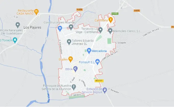 Gestión de alquiler vacacional Cantillana