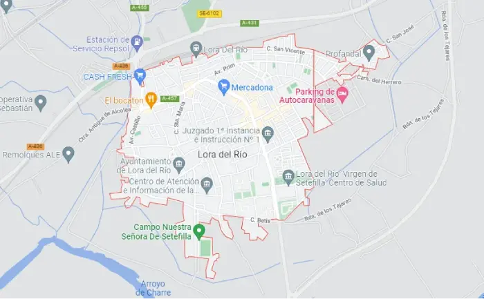Gestión de alquiler vacacional Lora del Río